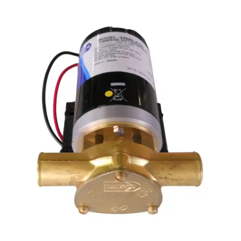pompe transfert water puppy Acheter Direct