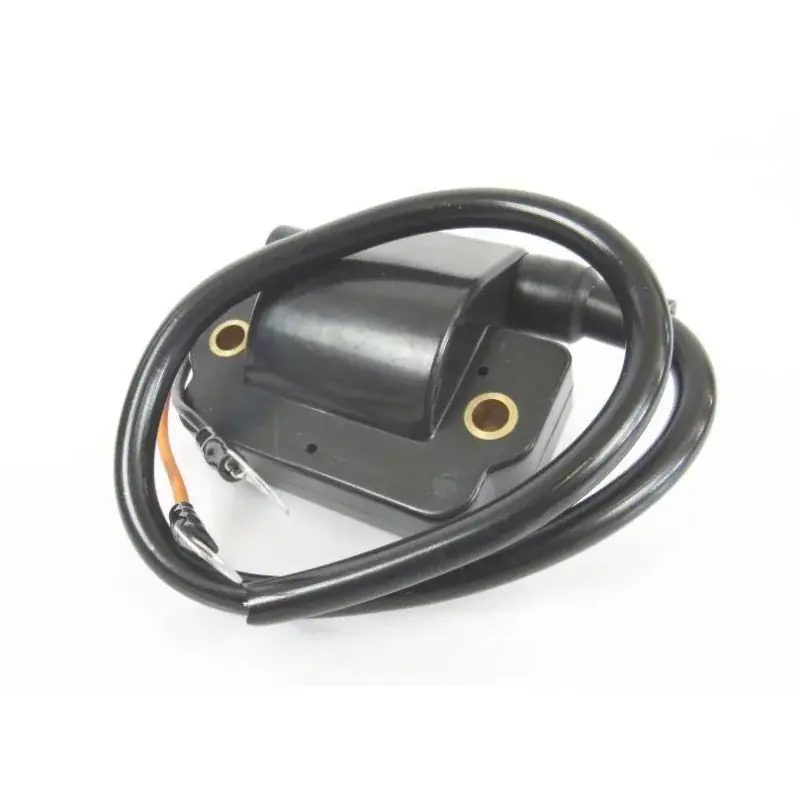 Vente Flash Bobine d‘Allumage Yamaha 70CV 2T