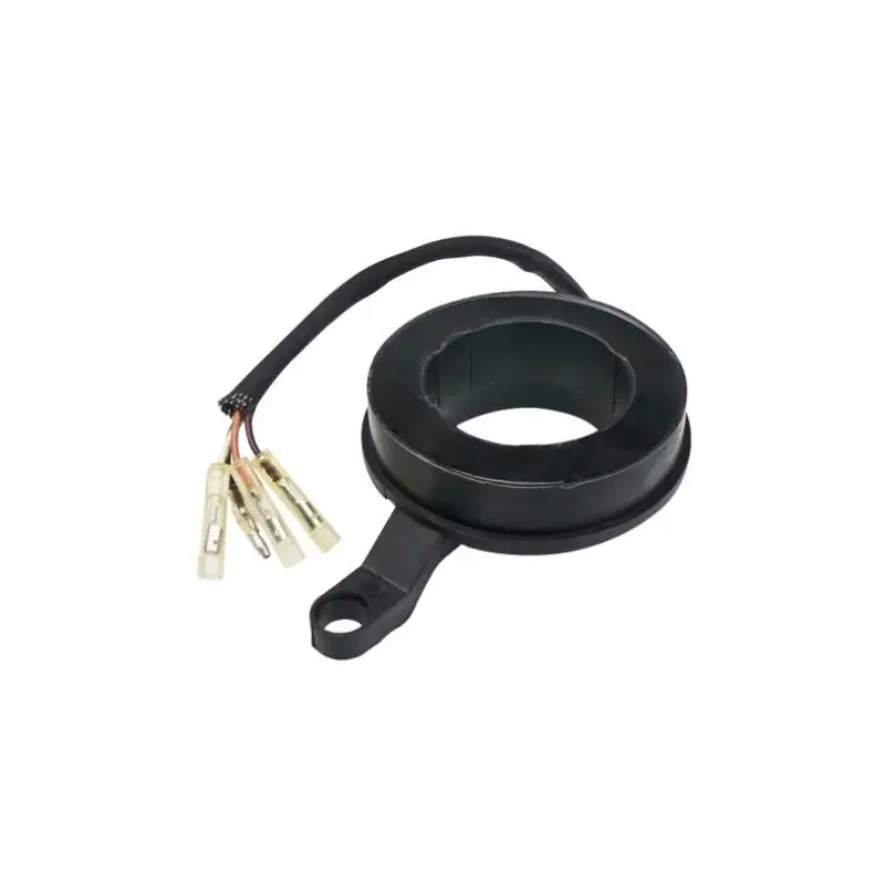 Trigger Mercury 75CV 2T Prix Bas