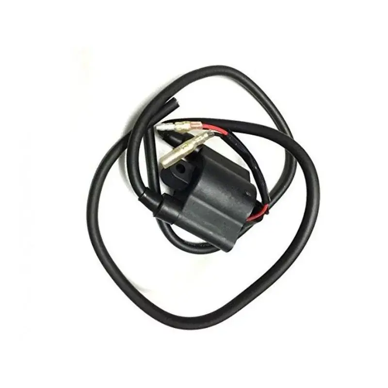 Bobine d‘Allumage Yamaha F20 Commande En Gros