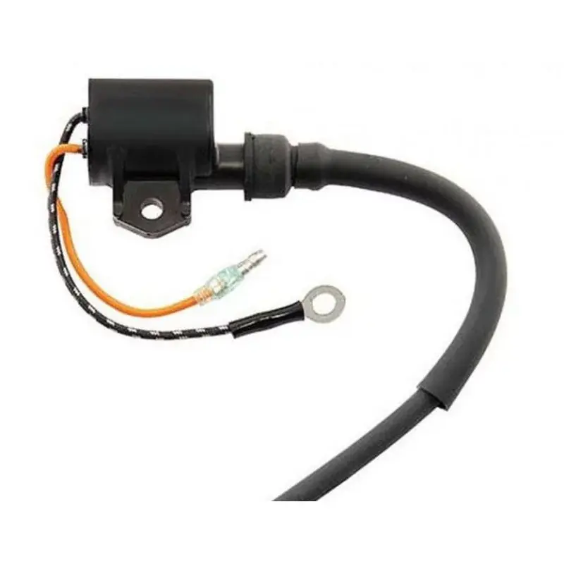 Vente Flash Bobine d‘Allumage Mercury 3.3CV 2T