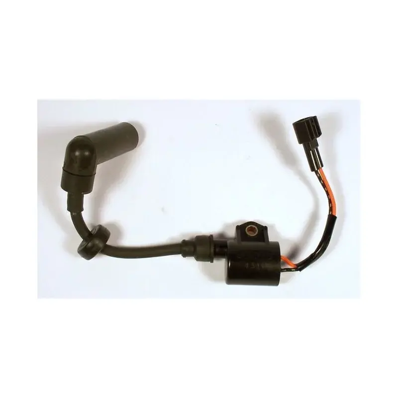Bobine d‘Allumage Yamaha F30 Jusqu'à Épuisement Des Stocks