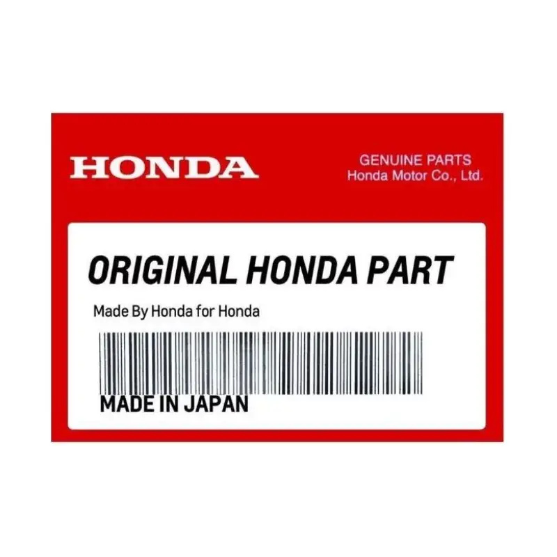 Promotion Pulser Honda BF115