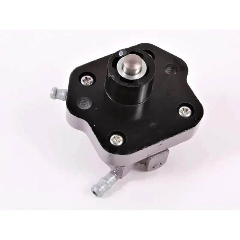 Pompe à Essence Honda BF100 Certifié