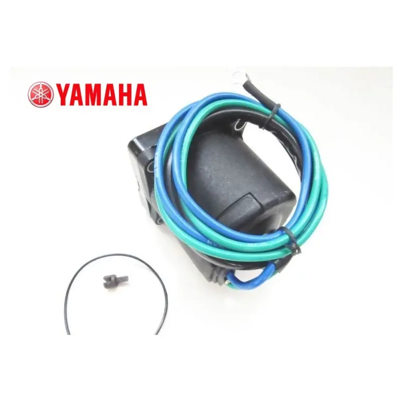 Moteur de trim Yamaha 64E-43880-02-00 Pas Cher