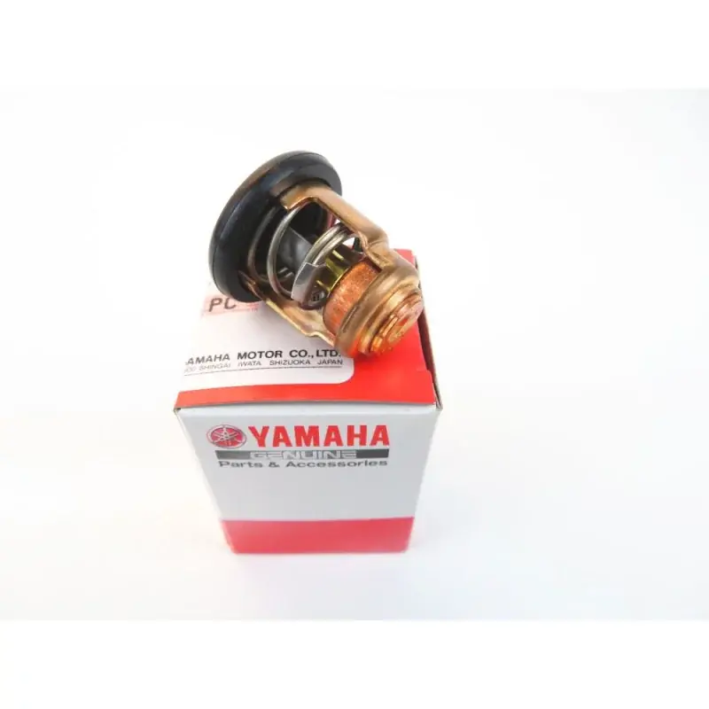 Commander Maintenant 66M-12411-00 Thermostat Yamaha F100