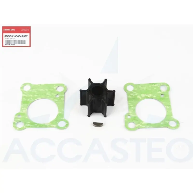 Expédié Aujourd'hui 06192-ZV4-000 / 06192-ZV4-A00 Kit Turbine Honda BF9.9 et BF15