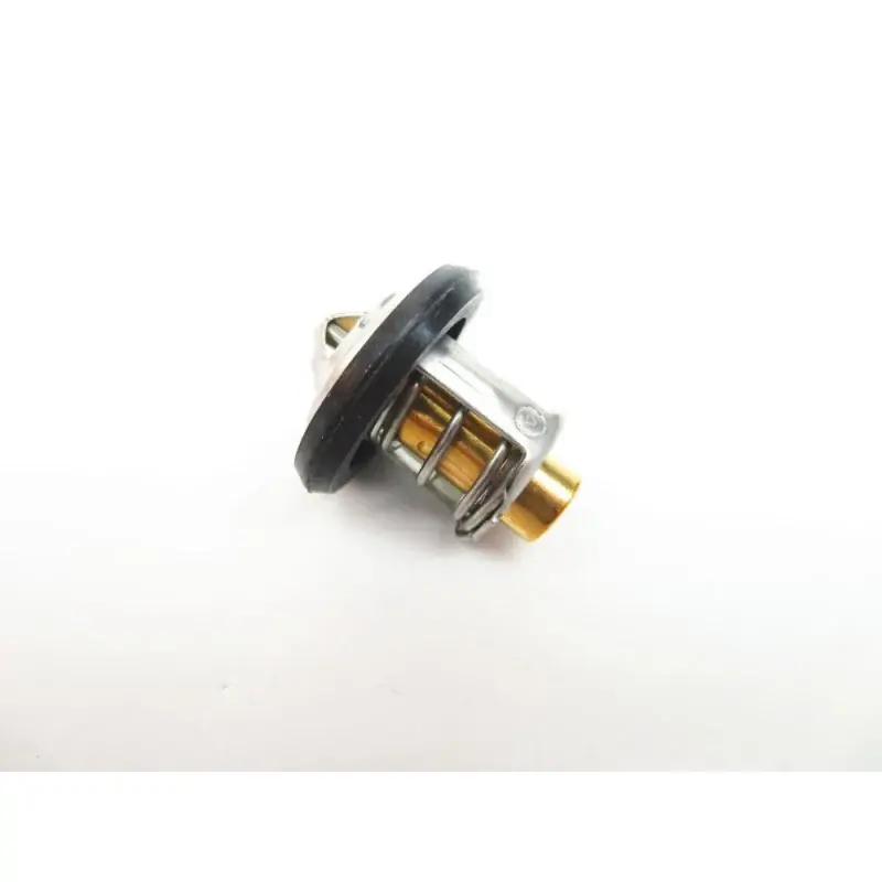 Thermostat Mercury 40CV EFI Marque