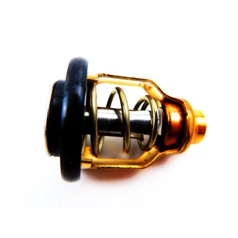 Thermostat Suzuki DF140 Prix Réduit