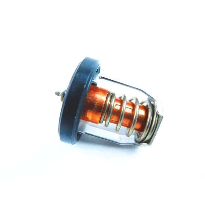 Nouvel Arrivage Thermostat Suzuki DF4A