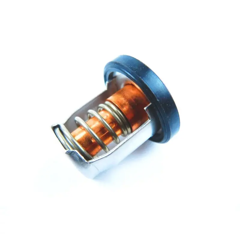 Soldes Thermostat Suzuki DF25A