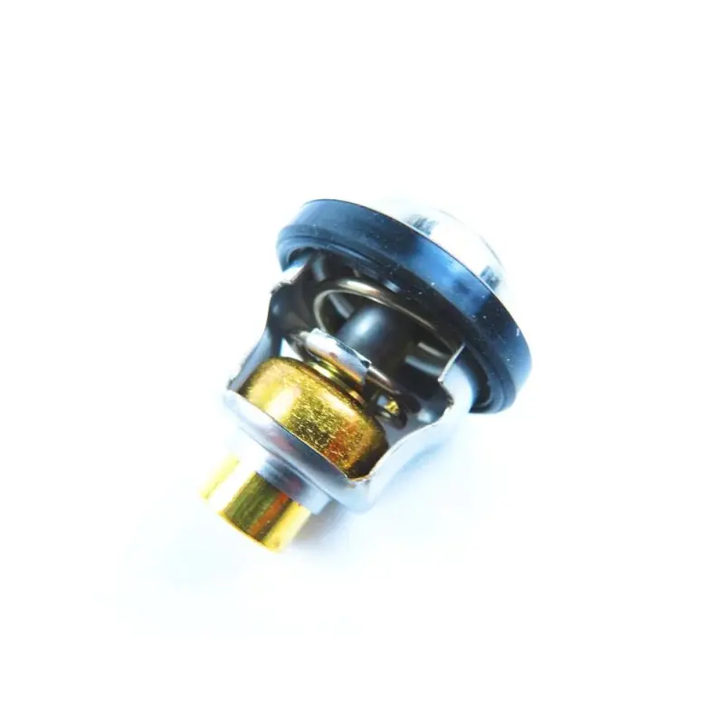 Thermostat Suzuki DF40 Meilleur Prix