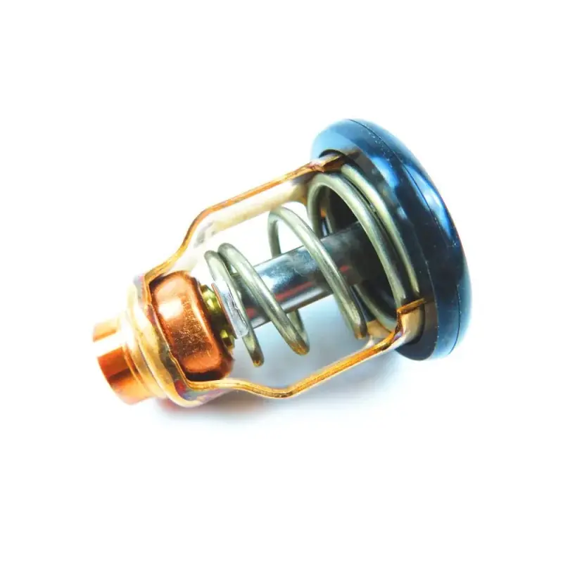 Offre Du Jour Thermostat Suzuki DF250