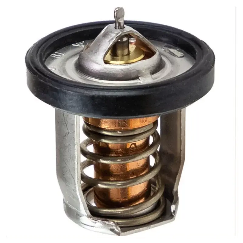 Thermostat Suzuki 6CV 4T Super Prix