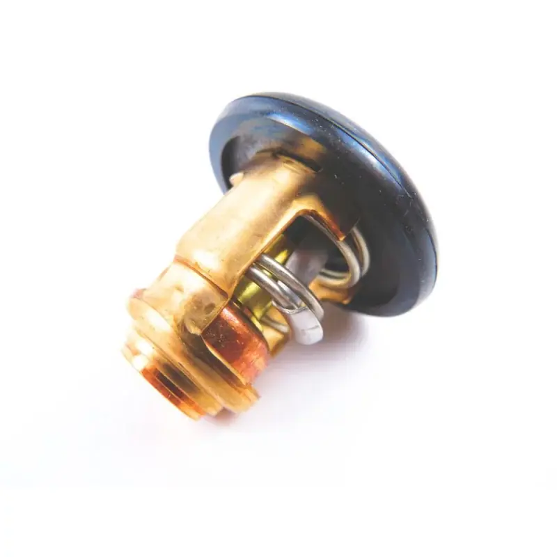 Thermostat Yamaha F20 Super Prix
