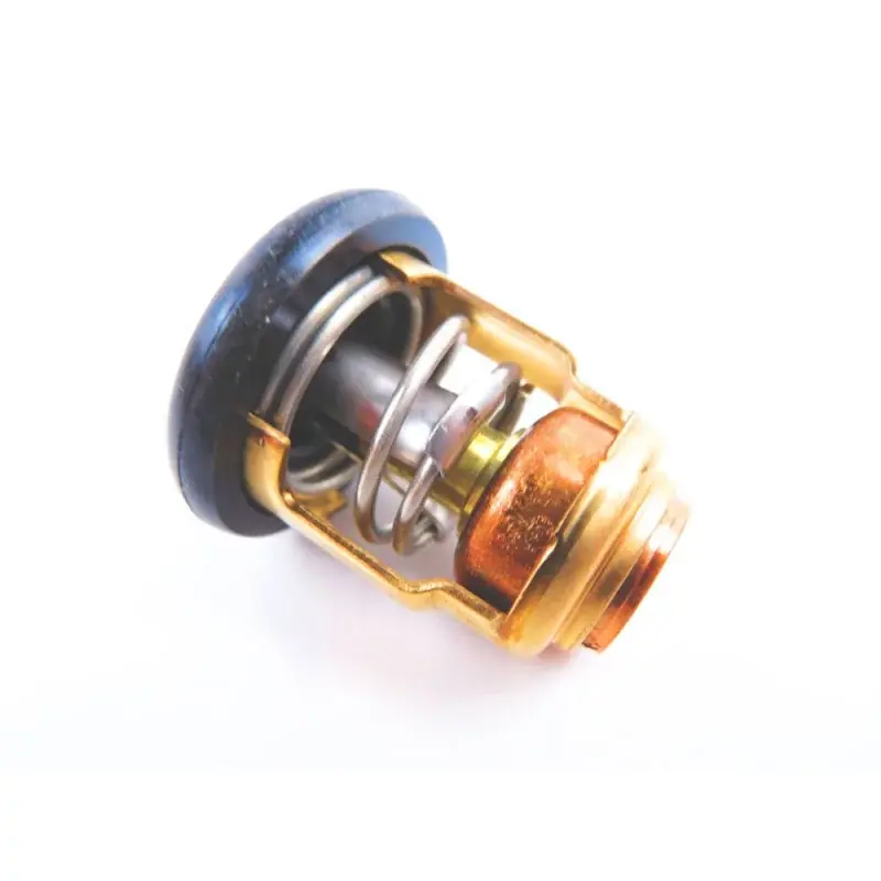 Authentique Thermostat Yamaha T8