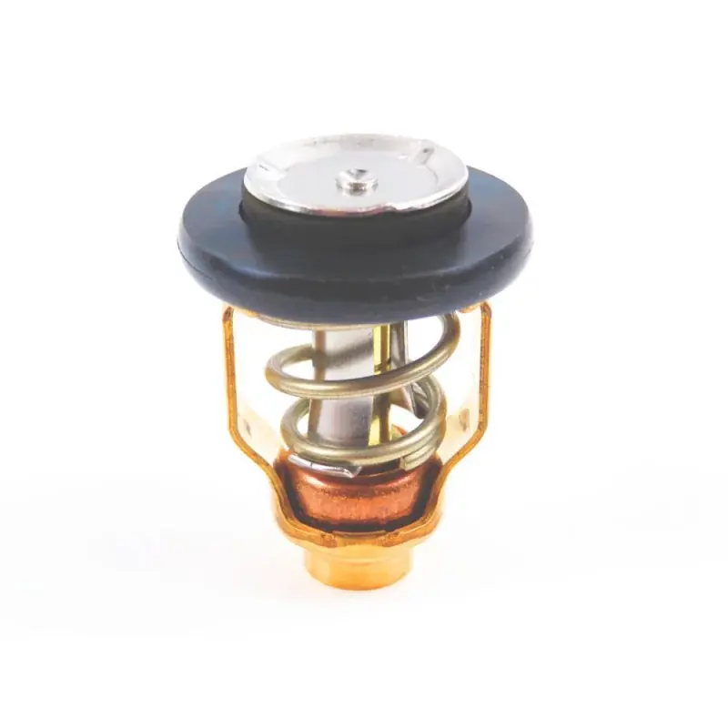 Thermostat Yamaha Z300 Must-Have
