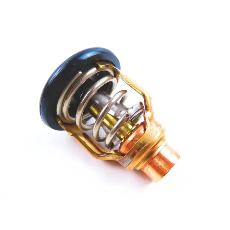 Meilleur Prix Thermostat Yamaha F175