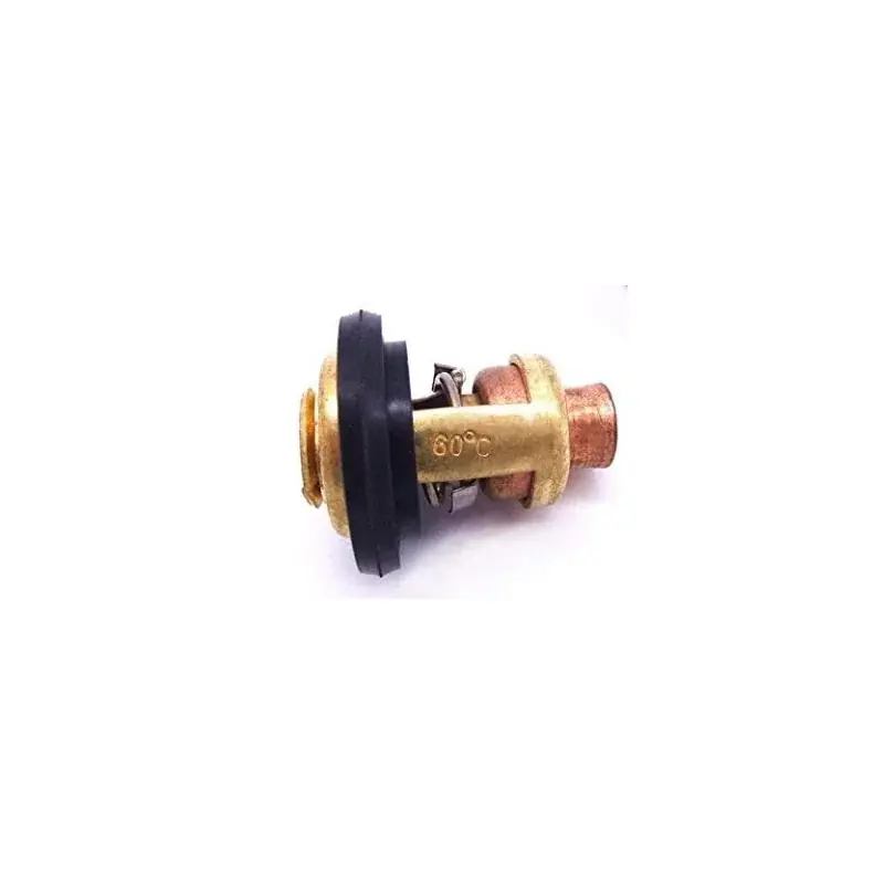 Expédition Rapide Thermostat Yamaha F40