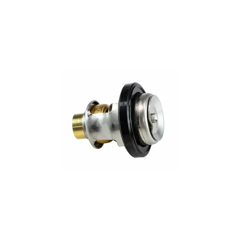 Thermostat Suzuki 9.9CV 2T Achat Immédiat