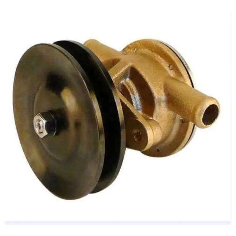 Commande En Gros Pompe à eau Yanmar 3YM
