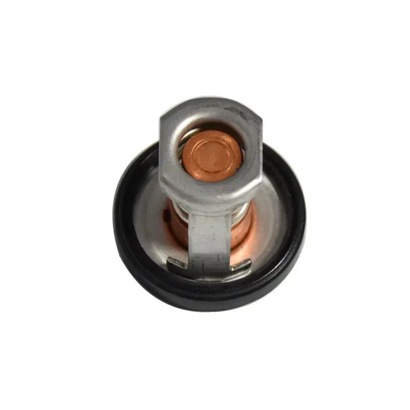 Pas Cher Thermostat Suzuki DF8