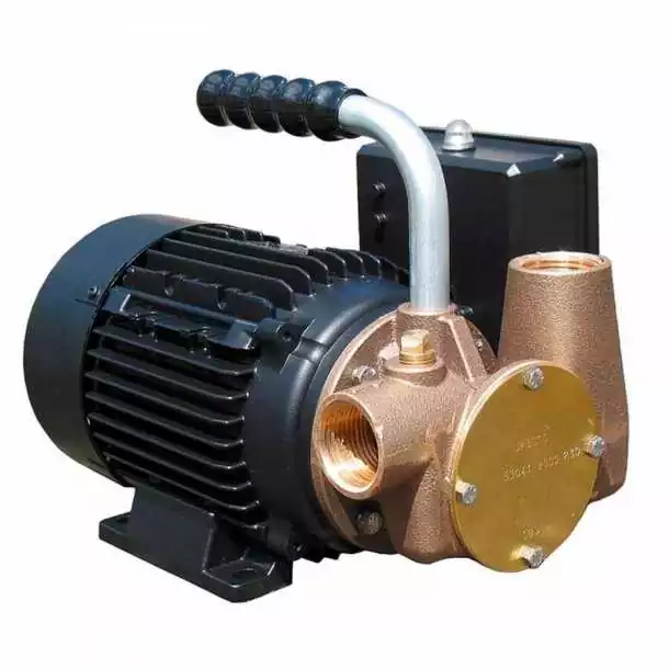 Prix Bas Pompe transfert tout liquide débit 30 L/min Diamètre 25mm 220V eaux usées