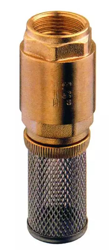 Populaire Clapet anti-retour laiton avec filtre inox 1" pouces 26 x 34mm clapet téflon