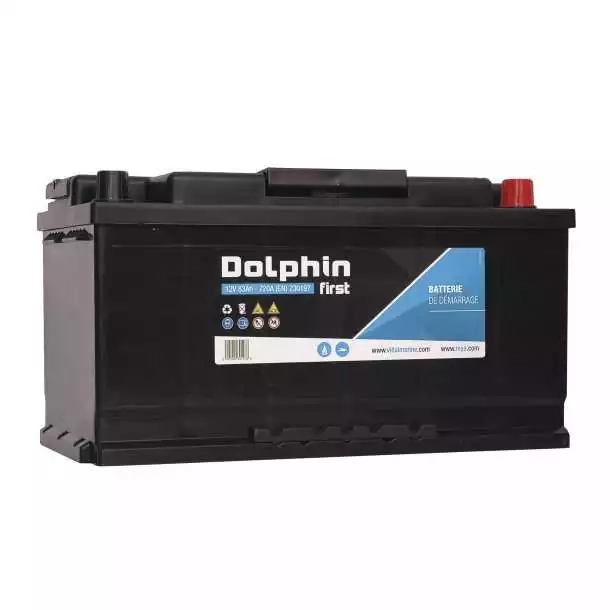 Quantité Limitée Batterie Dolphin First 12V 95A dimensions 353 x 175 x 190mm