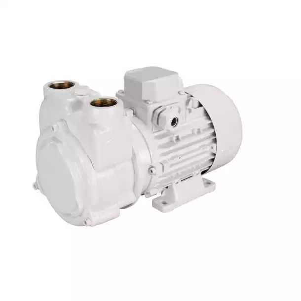 Pompe multi-service TF 25 24V 0,20kW 55 L/min Commander Vite