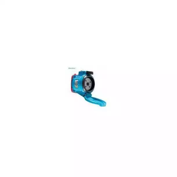 Socle DSN3 32A 2P + T 250V polyester Commande En Gros
