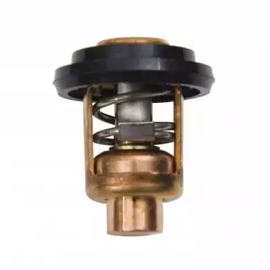 Prix Réduit Thermostat 60°C Yamaha 6FP-12411-00 F75B F80D F90B VF90A F100F