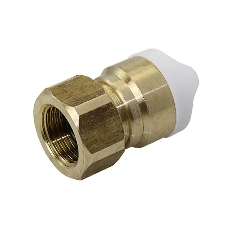Populaire Adaptateur Whale 1/2 BSP femelle (laiton)-15mm