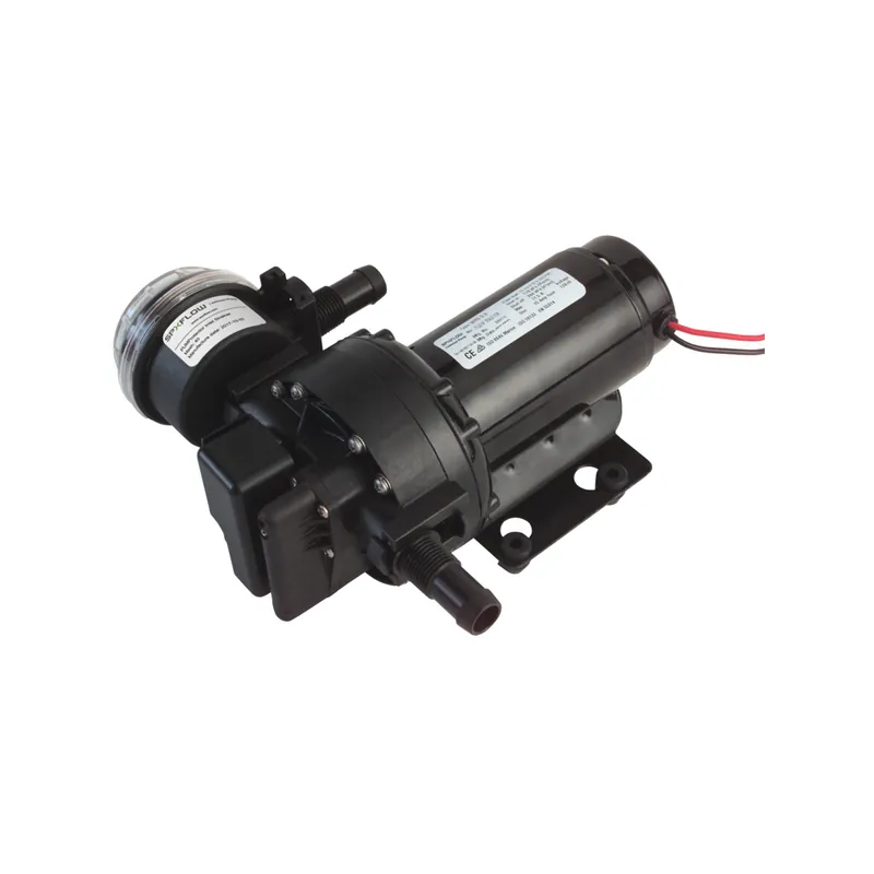 Johnson Flow Master 5.0-24V 19L 3,5bar Promotion Saisonnière