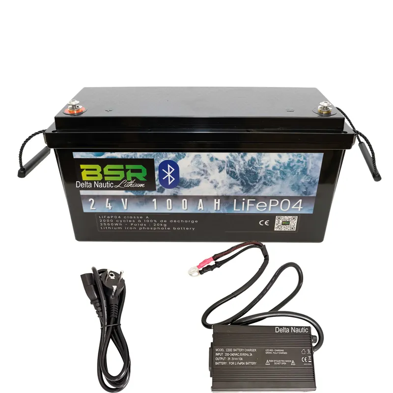 Offre Spéciale Batterie Lithium BSR 24V 100Ah avec Chargeur offert