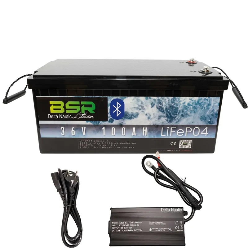 Achetez Aujourd'hui Batterie Lithium BSR 36V 100Ah avec Chargeur offert