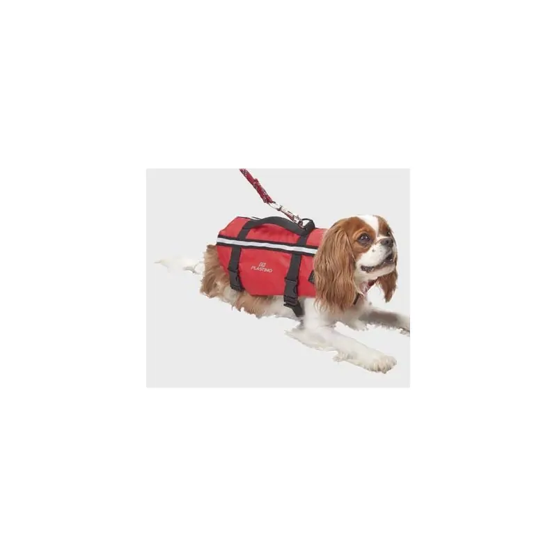 Satisfait Ou Remboursé Gilet pour chien - Taille M