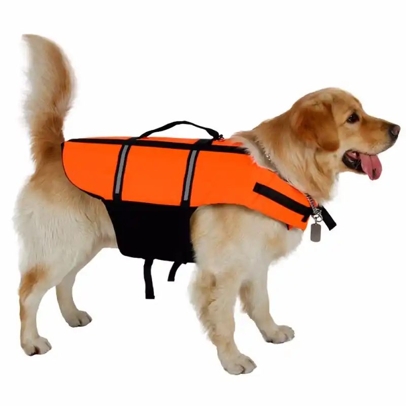 Gilet pour chien - Taille XL Seulement Aujourd'hui